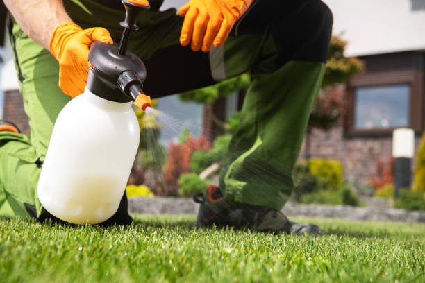 Best Mosquito Control Services  in Horton, KS
