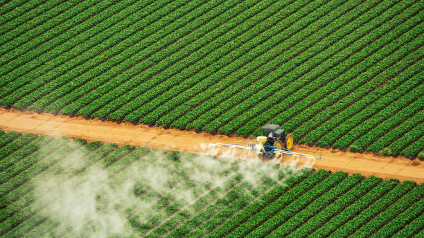 Best Wasp Removal Services  in Horton, KS