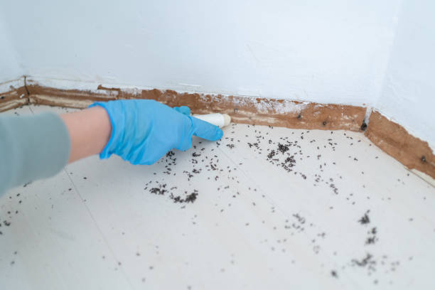 Best Exterminator Services  in Horton, KS