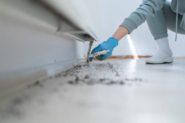 Best Best Pest Control Near Me  in Horton, KS